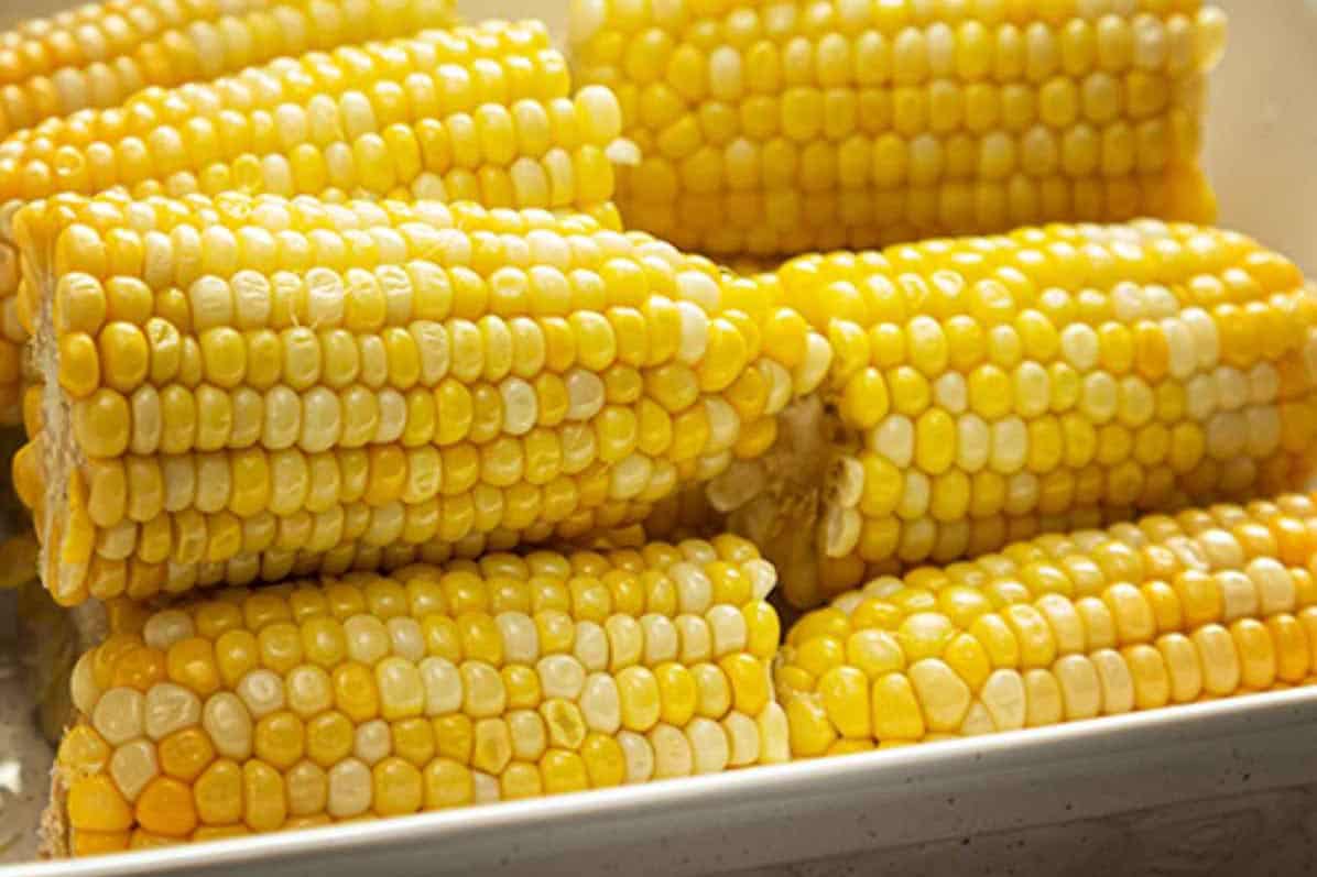 Classic Corn Cob